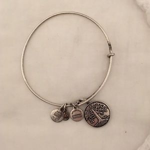 Alex and Ani Tree of Life bracelet 🌳